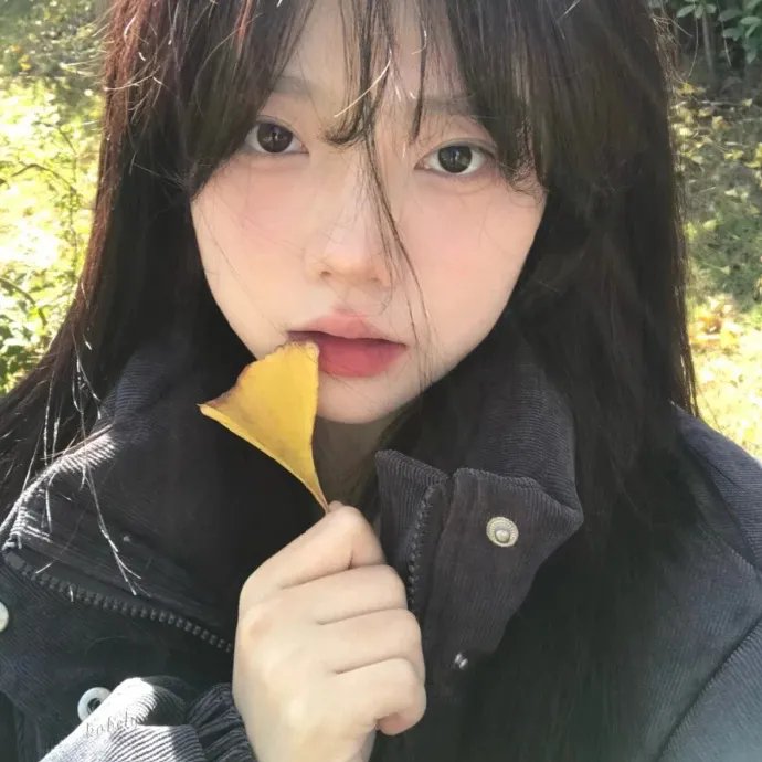 雪中悍刀行